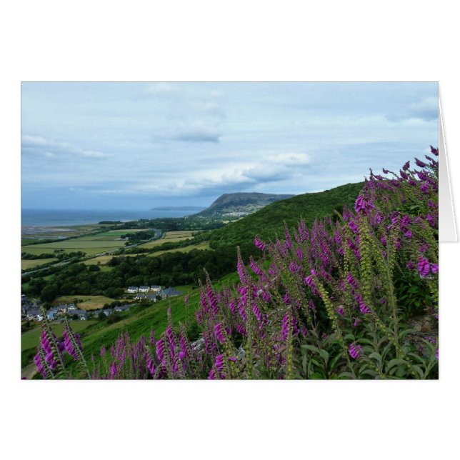 Le littoral gallois (Devant horizontal)