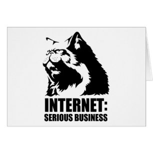 le lolcat l'Internet est des affaires sérieuses