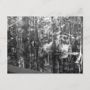 Le long de la carte postale bancaire