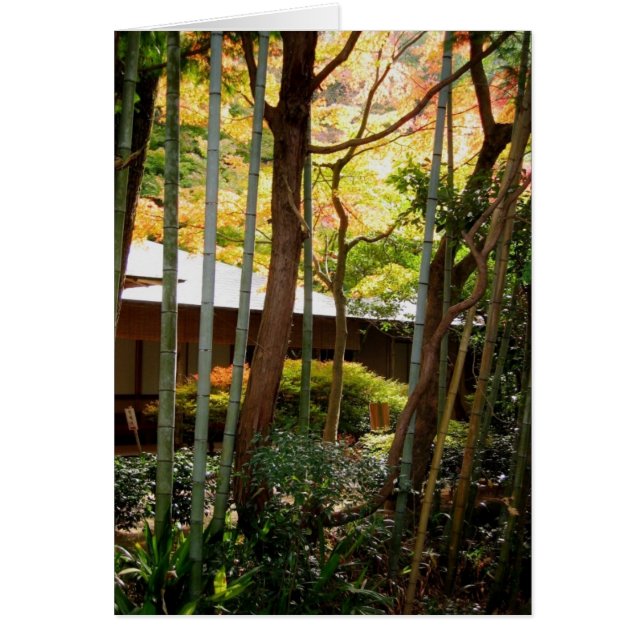 Le long du chemin du philosophe (Devant)