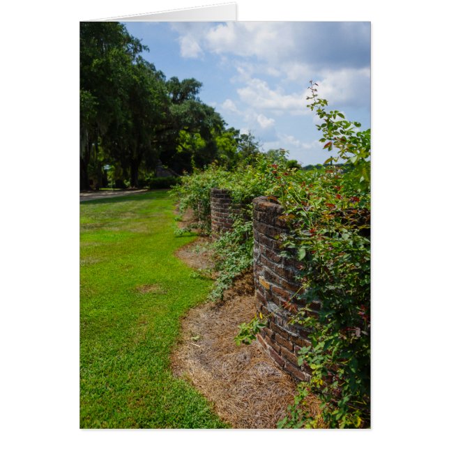 Le long du mur incurvé (Devant)