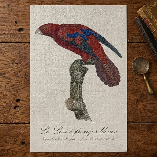 Le Lori a franges bleues (Long-Tailed Red Lory, Trichoglossus borneus. Jigsaw Puzzle)