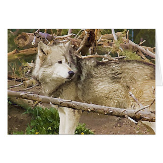 Le loup