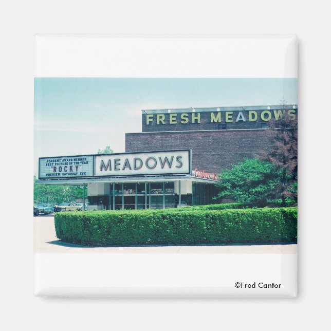 Le Magnet Théâtre Meadows du siècle (Devant)