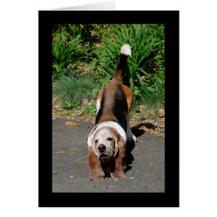 Le maître de Chi de Tai