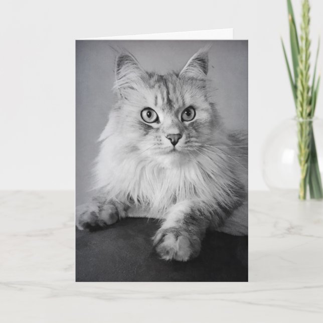 Le Meow Birthday Wises Karte (Vorderseite)
