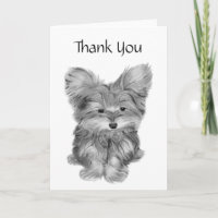 Le Merci mignon de chien de Yorkie et deviennent