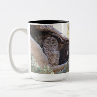 Le Mexicain a repéré la tasse de hibou,