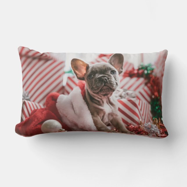 "Le mignon Coussin de Noël du chien de taureau fra (Recto)