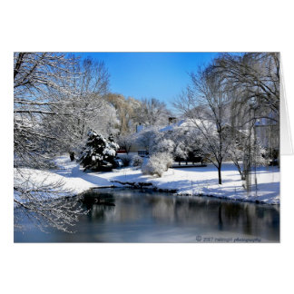 Le monde blanc parle sans son.