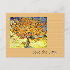 Le Mulberry Tree enregistre les cartes postales de