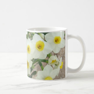 Le narcisse blanc fleurit la tasse