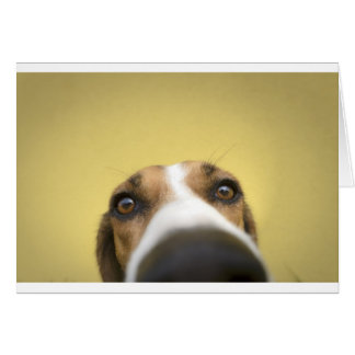 le nettoyeur de lentilles