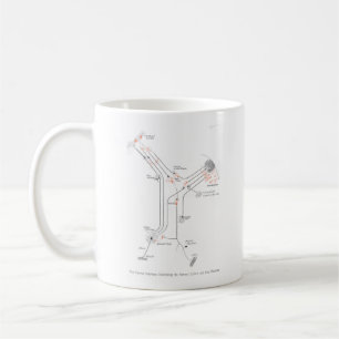 Le neurone cérébral synapse la Mug anatomique