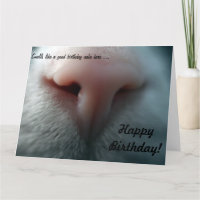Le nez de chat pour la grande carte d'anniversaire