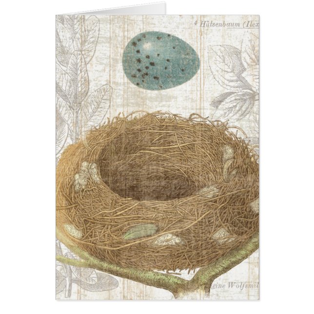 Le nid d'un oiseau avec un oeuf décoratif (Devant)