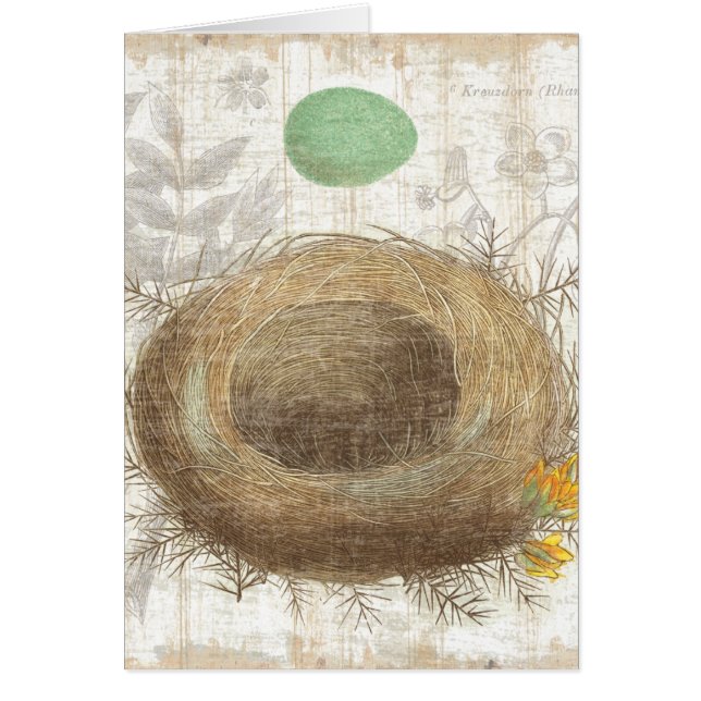 Le nid d'un oiseau avec un oeuf vert (Devant)