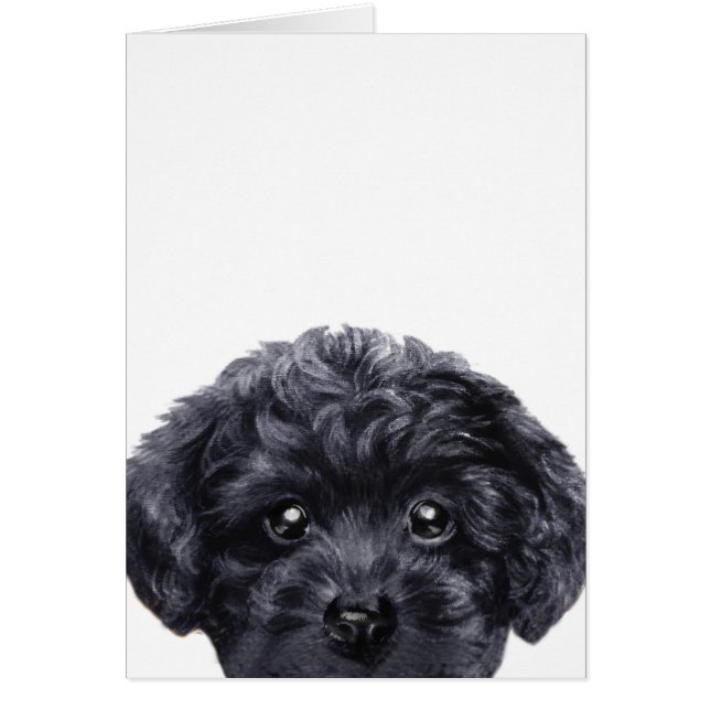 Le noir de caniche de jouet, original daignent par (Devant)