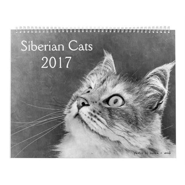 Le nouveau calendrier sibérien 2017 de chat (Protection)