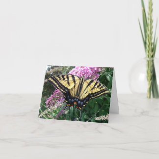Le nouveau jour fait du jardinage machaon Carte