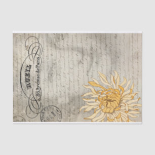 Le papier de soie de soie de Madame Decoupage
