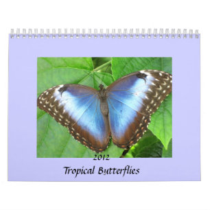 Le papillon photographie le calendrier 2012