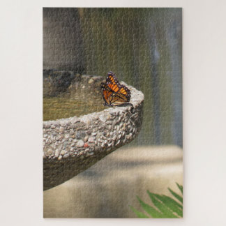 Le papillon Viceroy au puzzle de la fontaine