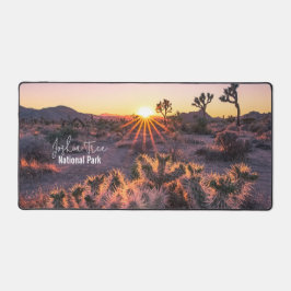 Le Parc national de Joshua Tree