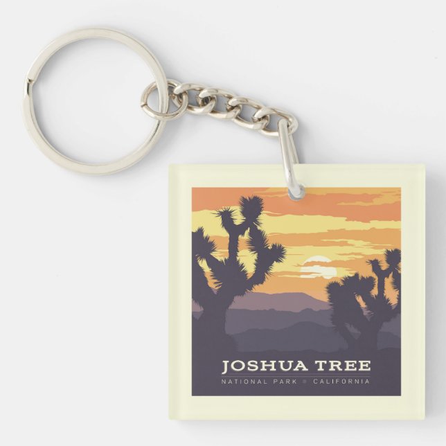 Le Parc national de Joshua Tree | Californie (Devant)