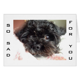 LE PAUVRE CHIEN EST SI TRISTE QUE DE TORNER 40