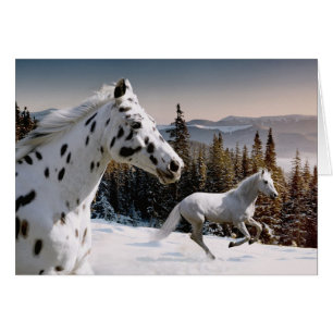 Le pays des merveilles d'hiver