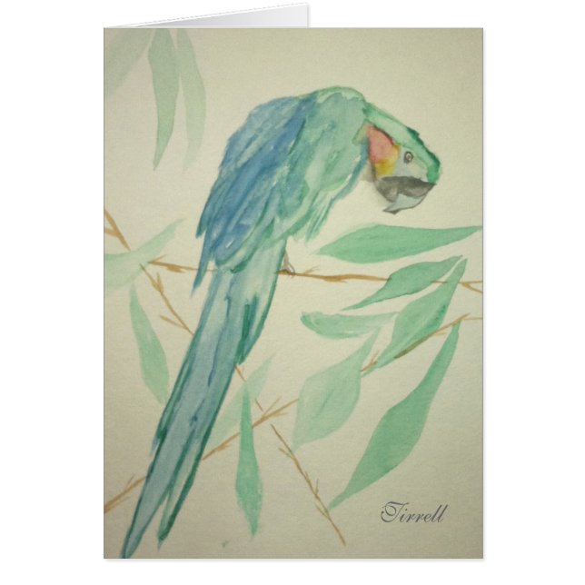 Le perroquet (Devant)