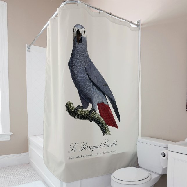 Le Perroquet Cendre - Illustration aus dem 19. Jah Duschvorhang (Le Perroquet Cendre - 19th century illustration. Shower Curtain)