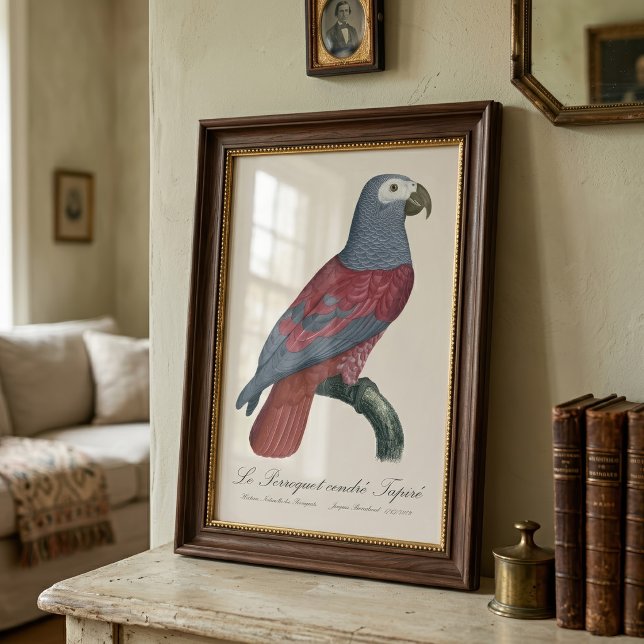 Le Perroquet cendre Tapire Fotodruck (African Grey Parrot Red Factor Psittacus Erithacus. Photo Print)