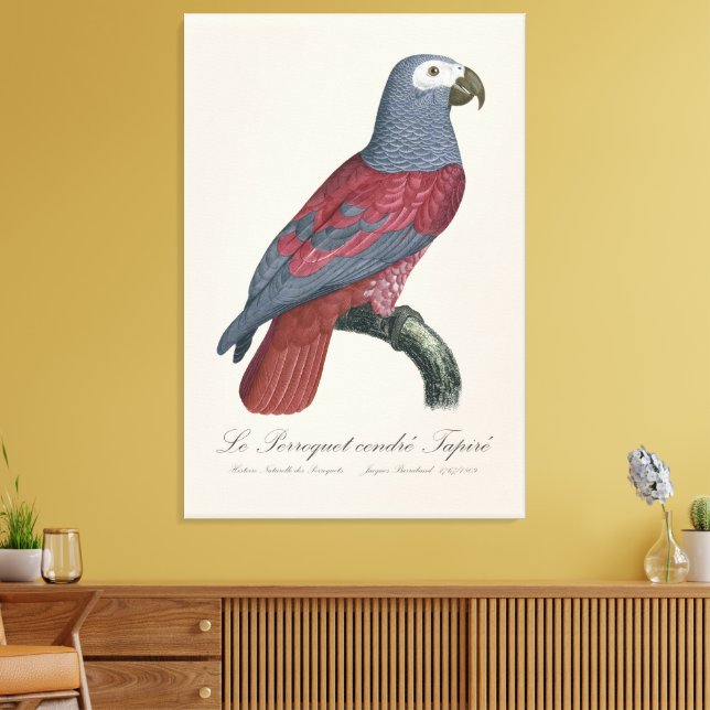 Le Perroquet cendre Tapire Leinwanddruck (Insitu (Wohnzimmer))