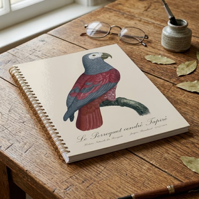 Le Perroquet cendre Tapire Planer (African Grey Parrot Red Factor Psittacus Erithacus. Planner)