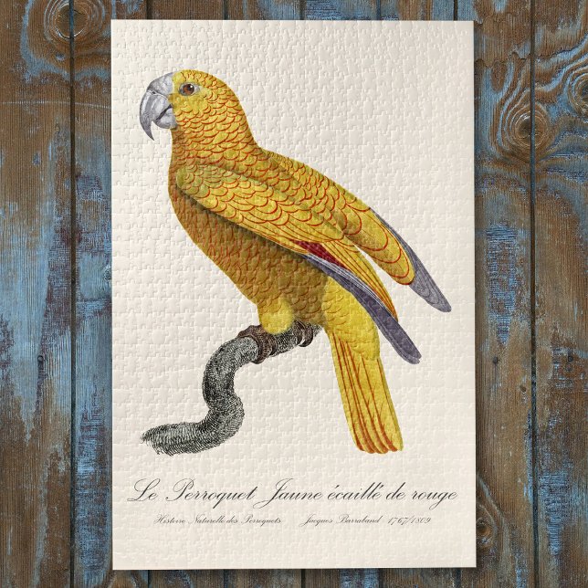 Le Perroquet Jaune ecaille de rouge (Le Perroquet Jaune ecaille de rouge. Jigsaw Puzzle)