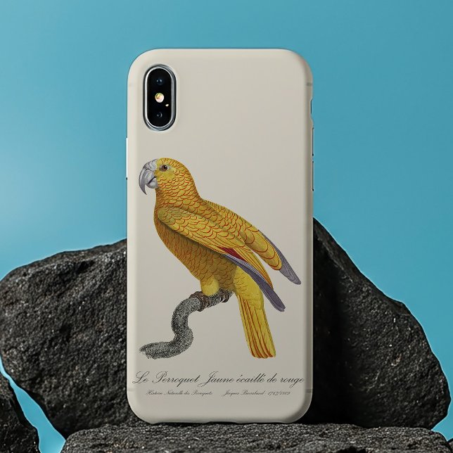 Le Perroquet Jaune ecaille de rouge Case-Mate iPhone Hülle (Le Perroquet Jaune ecaille de rouge. iPhone 13 Pro Max Case)