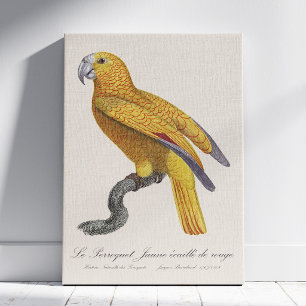 Le Perroquet Jaune ecaille de rouge Leinwanddruck