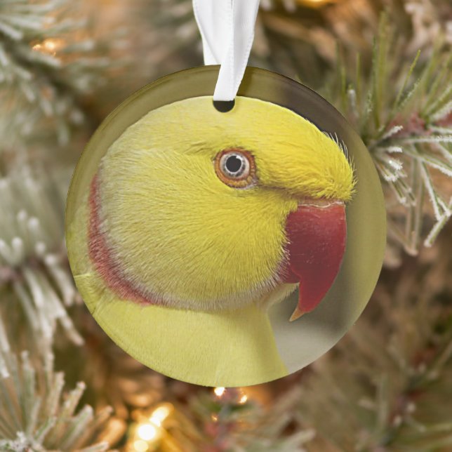 Le perroquet jaune vif de l'Indien Lutino Ringneck (Arbre)