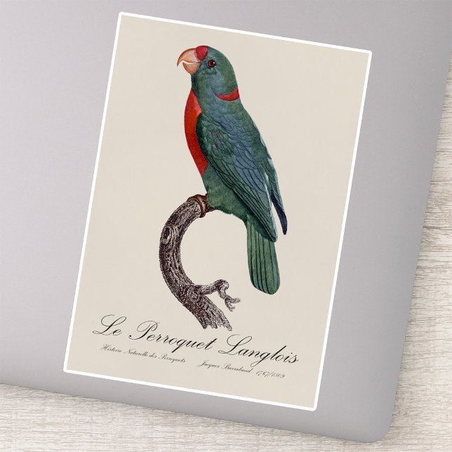 Le Perroquet Langlois Aufkleber (Le Perroquet Langlois by Jacques Barraband. Sticker)