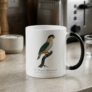 Le Perroquet Maipouri / Schwarzkopfpapagei Verwandlungstasse