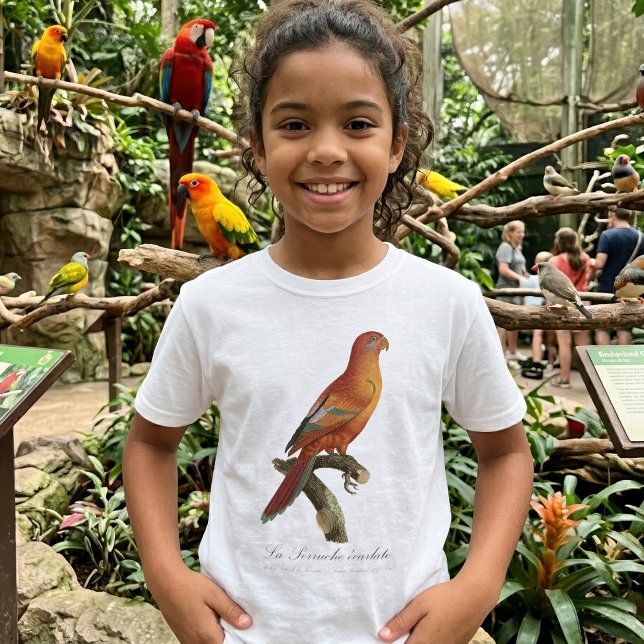 Le Perruche ecarlate T-Shirt (Red Lory or Eos Bornea, Trichoglossus borneus. Girl Basic White T-Shirt)