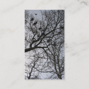 Le petit carte photo de corneilles
