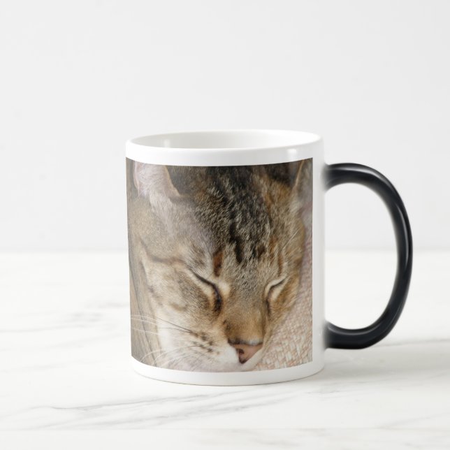 Le petit somme de chat Morph la tasse (Droite)