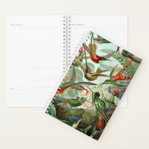 Le planificateur Hummingbirds de Haeckel