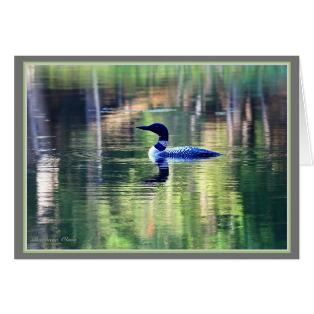 Le plongeon-commun revient à Walden Pond (Devant horizontal)