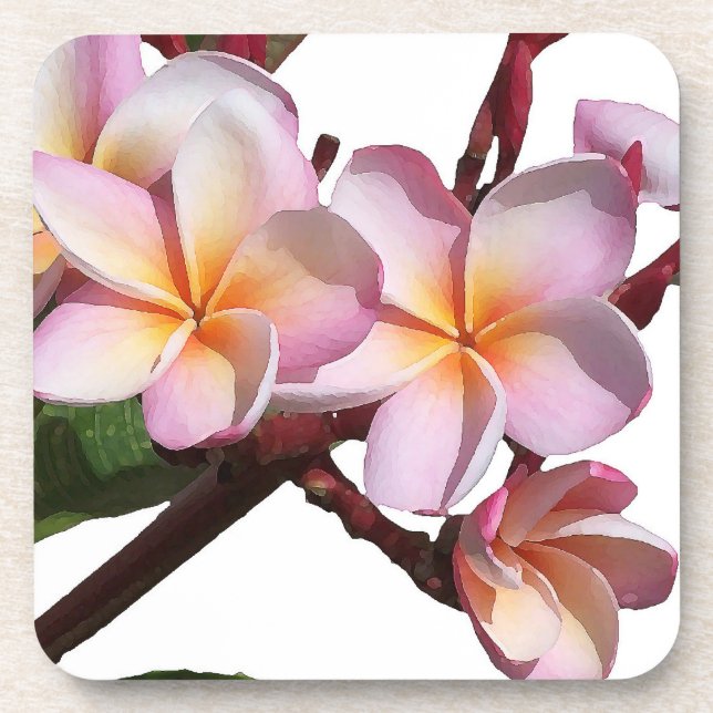 Le Plumeria fleurit des dessous de verre de liège (Devant)
