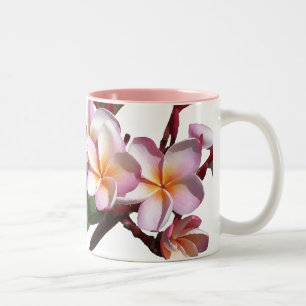 Le Plumeria fleurit la tasse