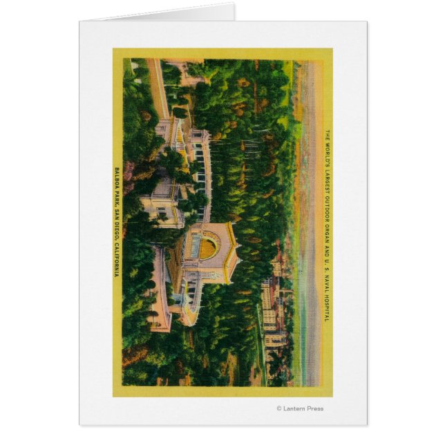 Le plus grand organe extérieur du monde (Devant)